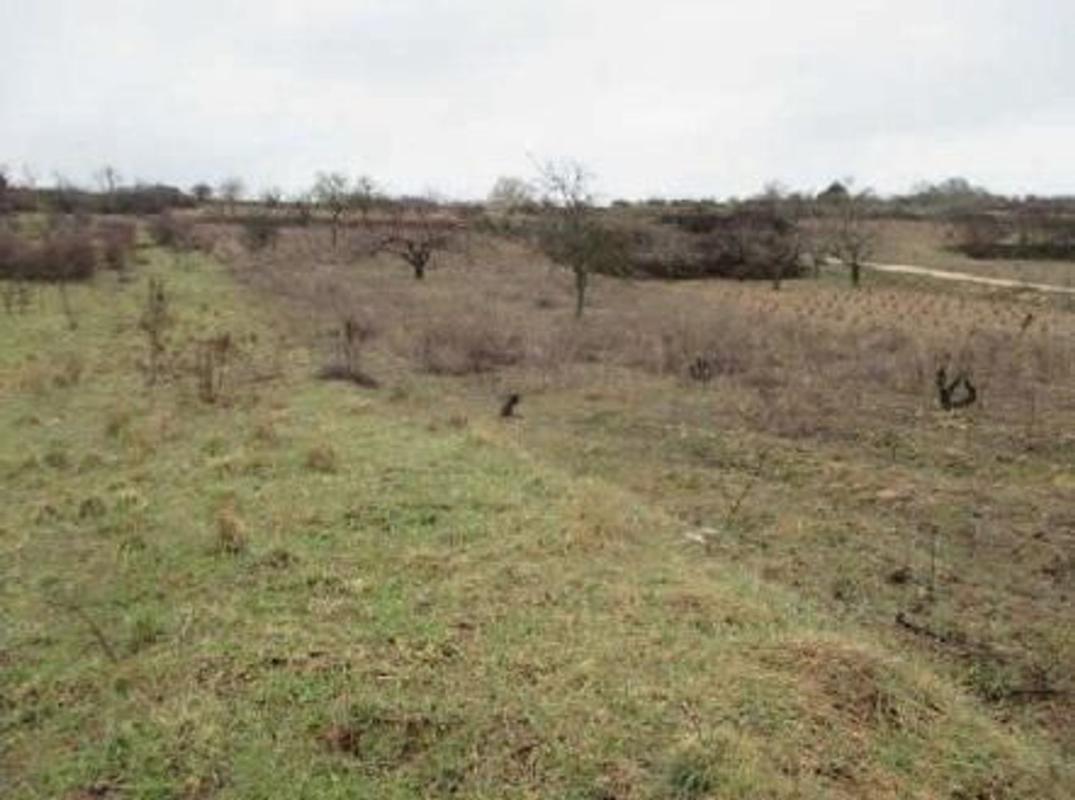 Участок земли на продажу в Коваррубиас, Бургос photo 2