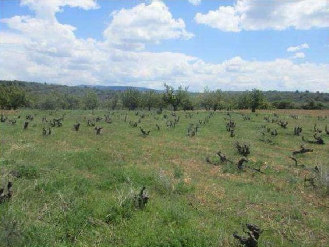 Land for sale in Covarrubias, Burgos photo 1