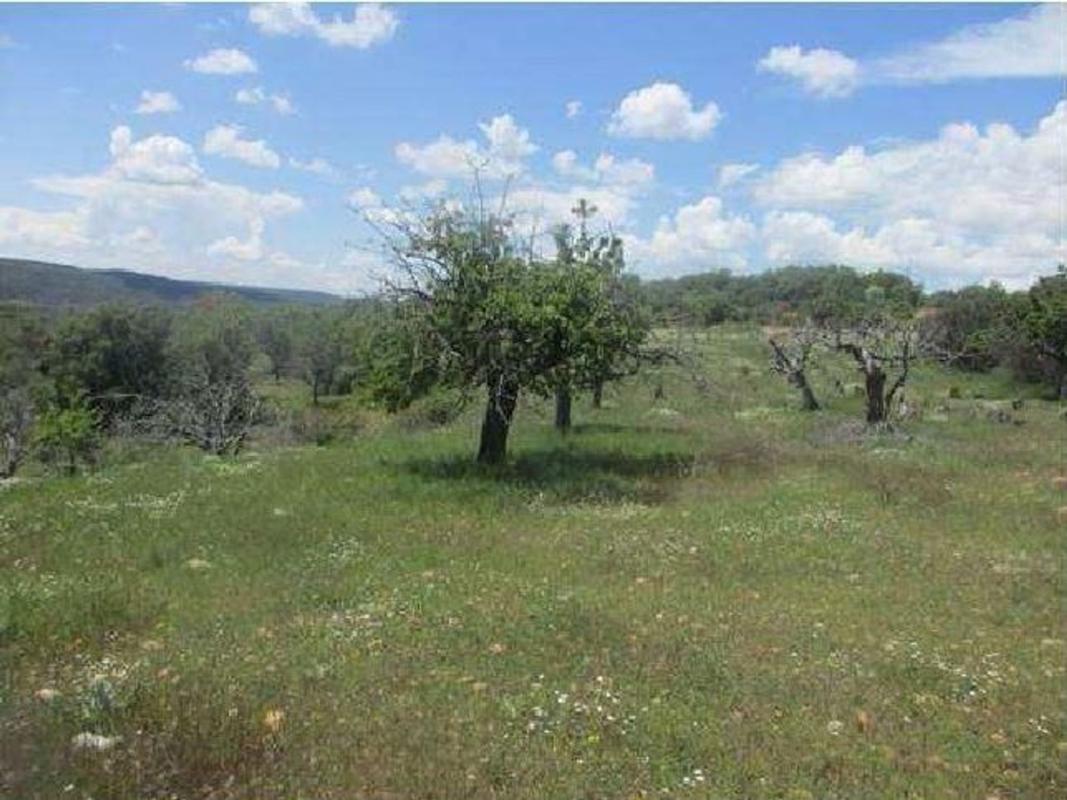 Land for sale in Covarrubias, Burgos photo 3