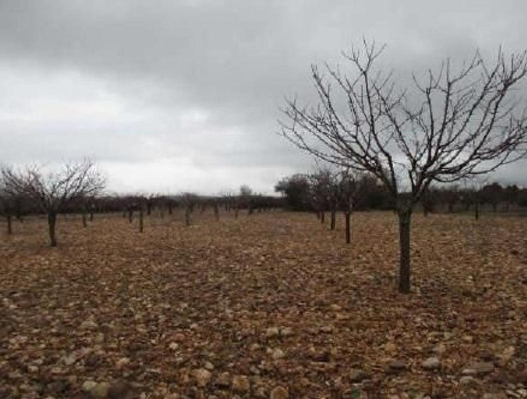 Land for sale in Covarrubias, Burgos photo 5