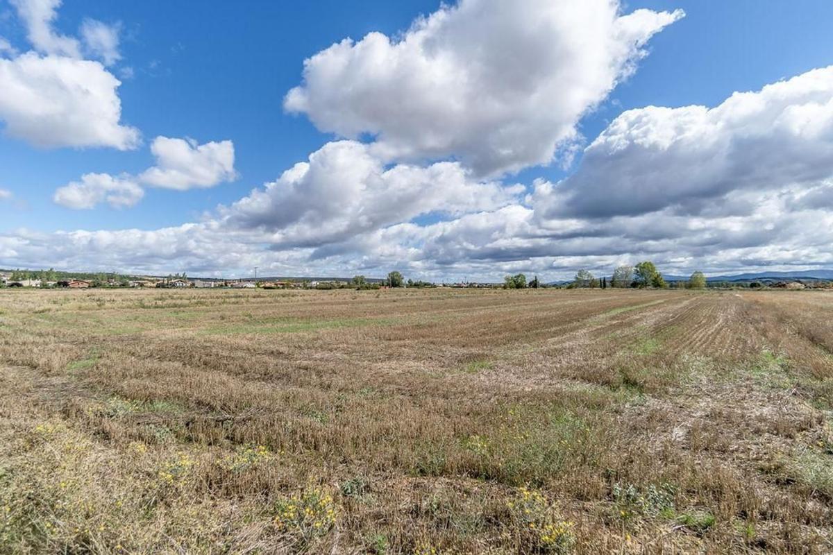Land for sale in Castrillo del Val, Burgos photo 1