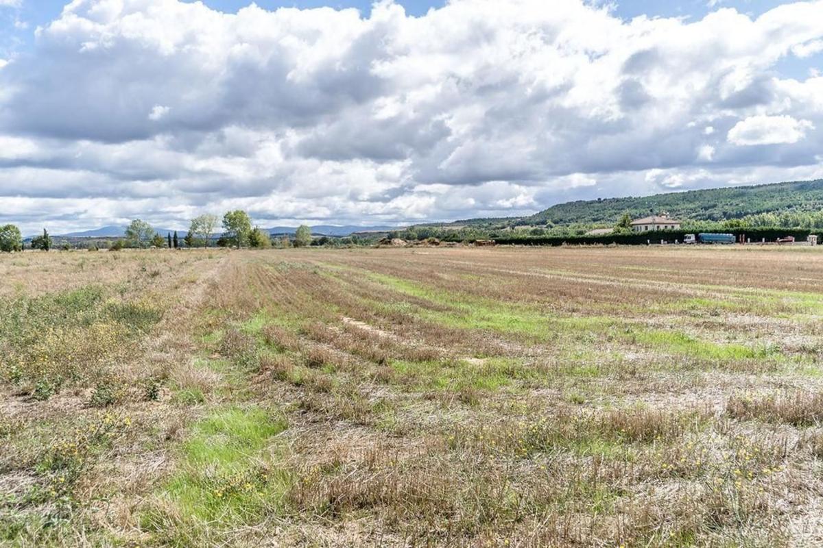 Land for sale in Castrillo del Val, Burgos photo 2