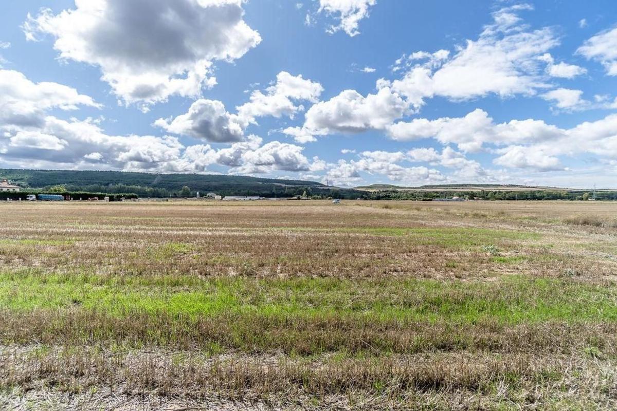 Land for sale in Castrillo del Val, Burgos photo 3