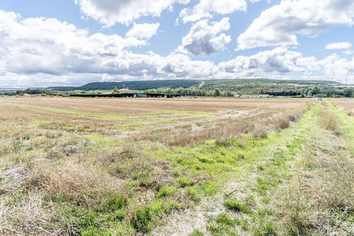 Land for sale in Castrillo del Val, Burgos photo 4