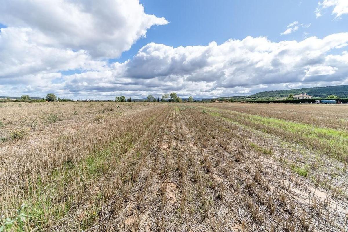 Land for sale in Castrillo del Val, Burgos photo 5