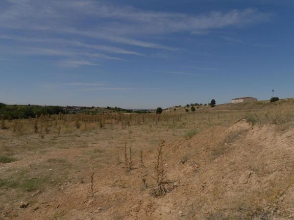 Terreno en Bu-945, Fuentelcésped photo 3