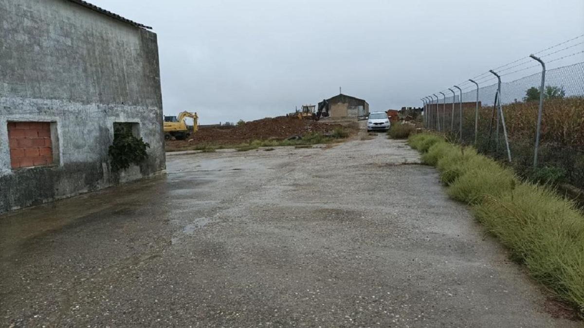Land for sale in Moraleja, Cáceres photo 2