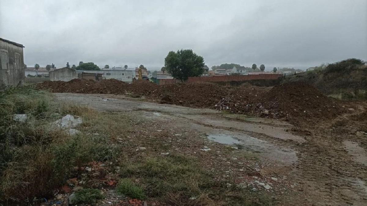 Land for sale in Moraleja, Cáceres photo 5