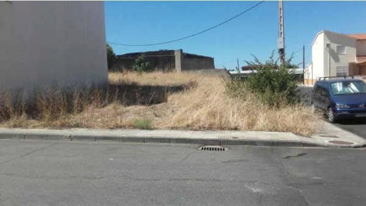 Land for sale in Moraleja, Cáceres photo 1