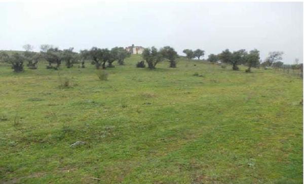 Terreno en Calle de Alfonso Camargo s/n, Zona Sur-Av. de España-San Miguel, Plasencia photo 1