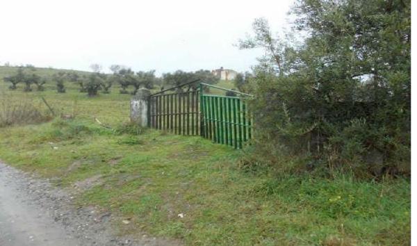 Terreno en Calle de Alfonso Camargo s/n, Zona Sur-Av. de España-San Miguel, Plasencia photo 2