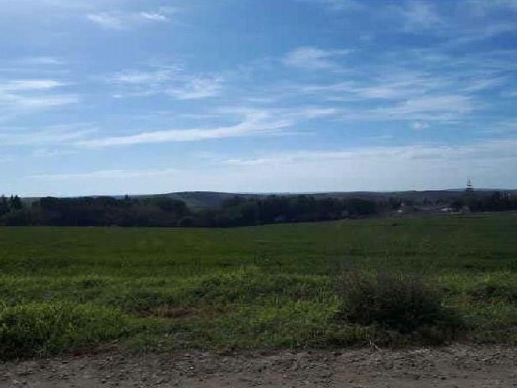 Działka na sprzedaż w Trebujena, Kadyks photo 2