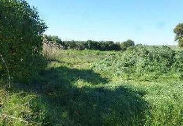 Terreno en Avenida de la Atalaya, 9 Pol. 9, Ctra Jerez-Ctra del Puerto, Sanlúcar de Barrameda photo 1