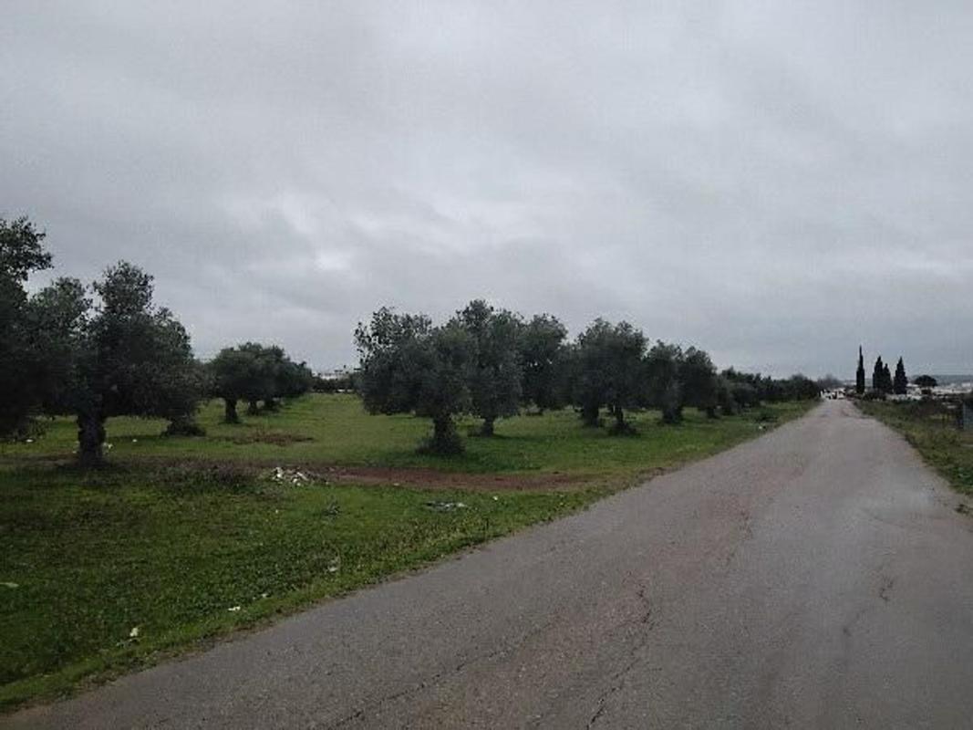 Działka na sprzedaż w Puerto Serrano, Kadyks photo 3