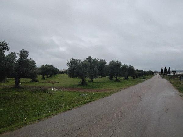 Terreno en Calle Bornos, Puerto Serrano photo 3