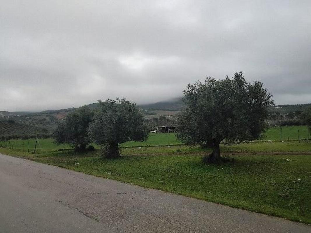 Działka na sprzedaż w Puerto Serrano, Kadyks photo 5