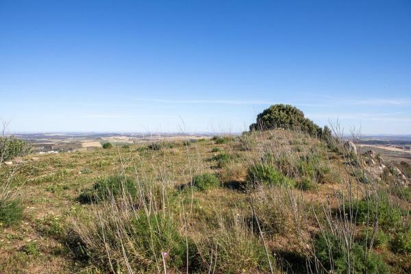 Terreno en Calle San Agustín, Medina-Sidonia photo 4