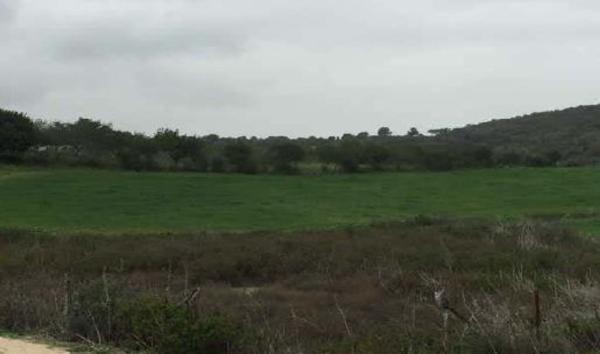 Terreno en Vía, 1826 Fr 1826, San José del Valle photo 1