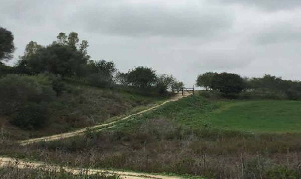 Terreno en venta en San José del Valle, Cádiz photo 2