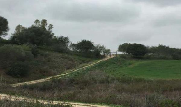 Terreno en Vía, 1826 Fr 1826, San José del Valle photo 2