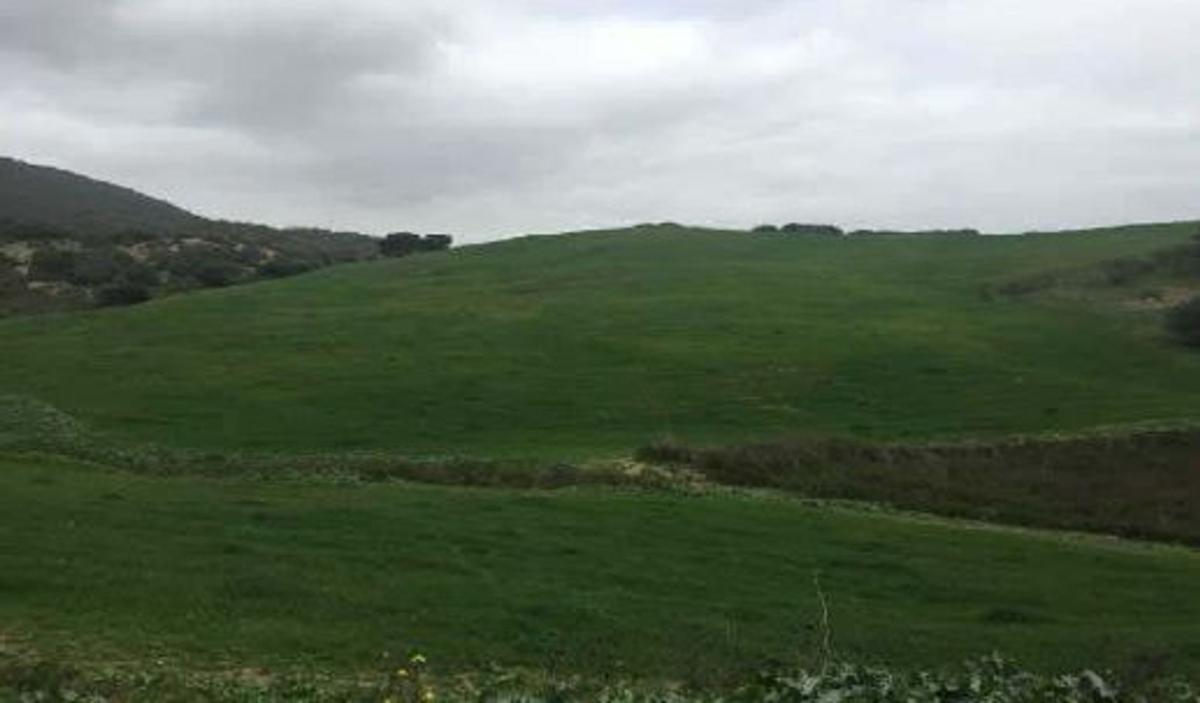 Terreno en venta en San José del Valle, Cádiz photo 3
