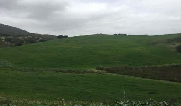 Terreno en Vía, 1826 Fr 1826, San José del Valle photo 3