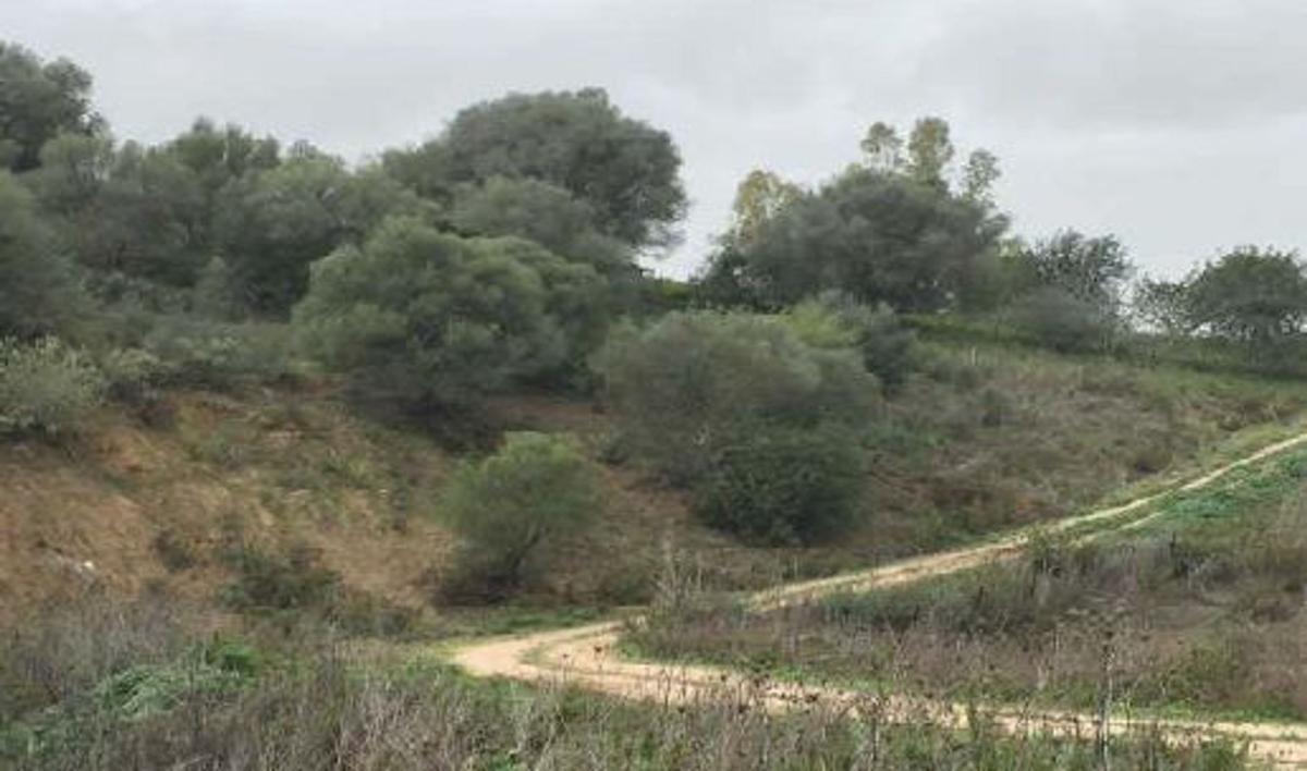 Terreno en venta en San José del Valle, Cádiz photo 5