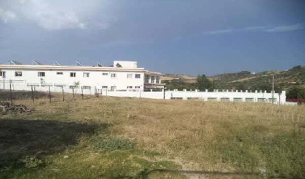 Terreno en Calle los Manchoncillos, 11, Algodonales photo 1