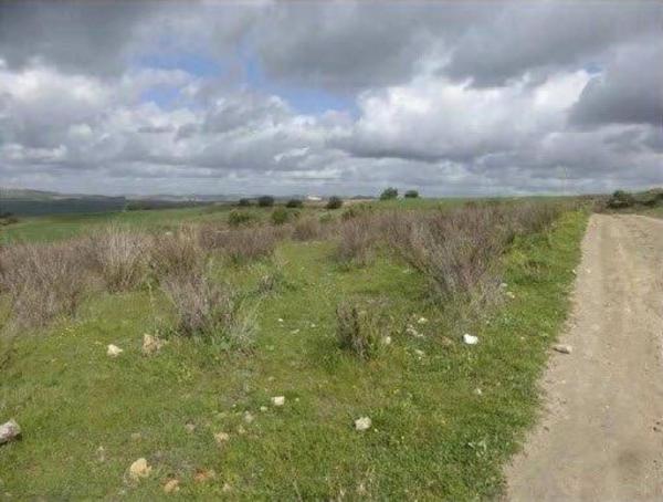 Terreno en Avenida Anticoli-Corrado s/n, Arcos de la Frontera photo 1