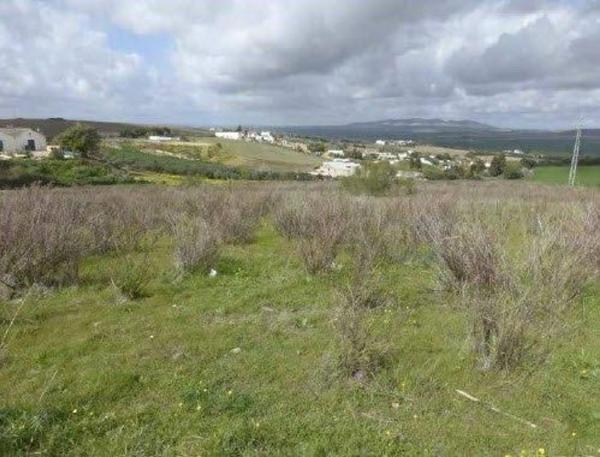 Terreno en Avenida Anticoli-Corrado s/n, Arcos de la Frontera photo 2