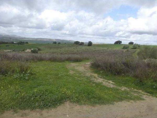 Terreno en Avenida Anticoli-Corrado s/n, Arcos de la Frontera photo 3