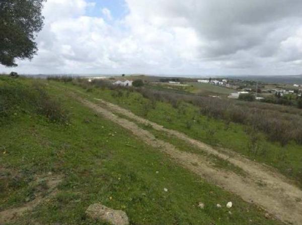 Terreno en Avenida Anticoli-Corrado s/n, Arcos de la Frontera photo 4