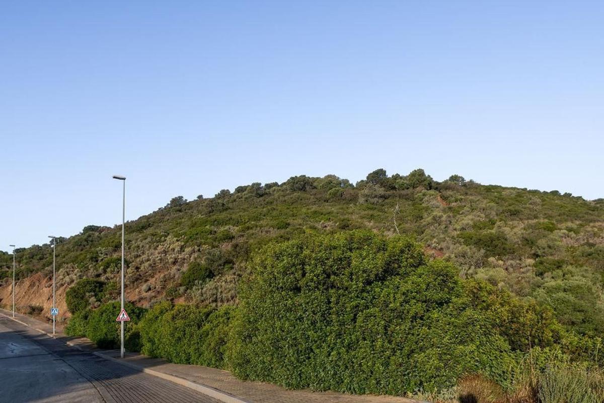 Terreno en venta en Jerez de la Frontera, Cádiz photo 2