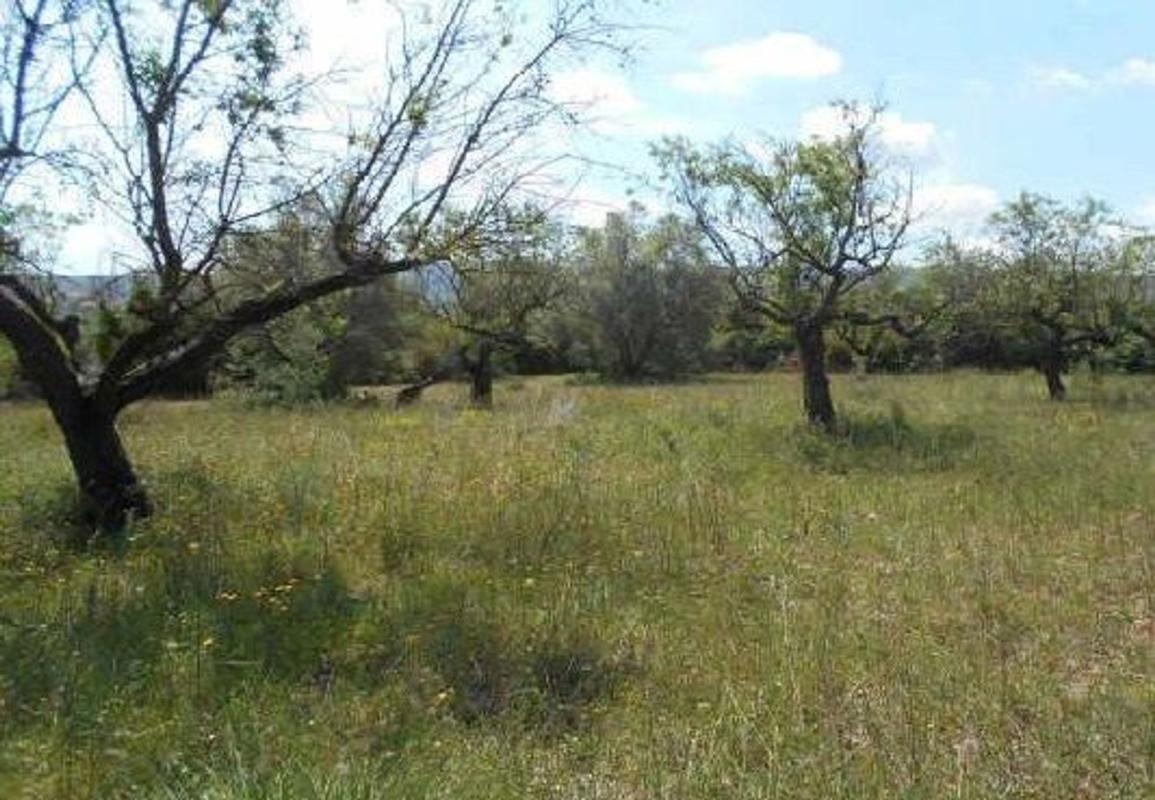 Terreno en venta en Albocacer, Castellón photo 1