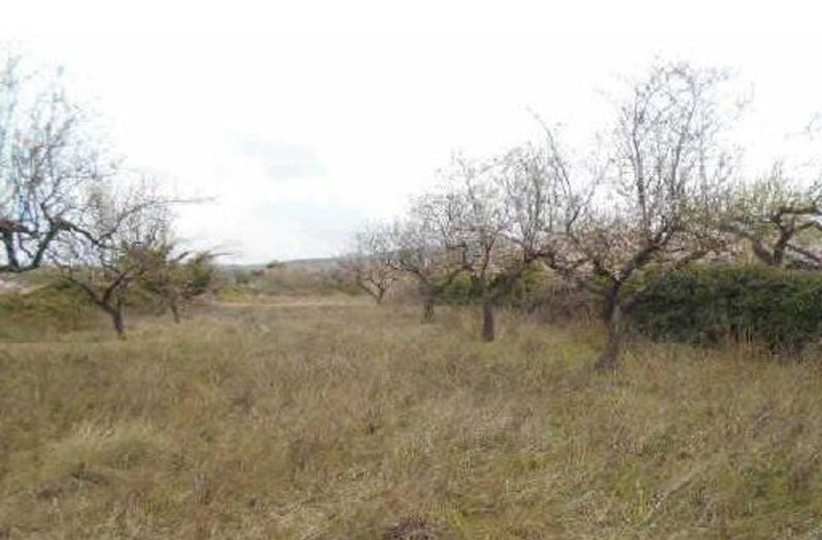 Terreno en venta en Albocacer, Castellón photo 2