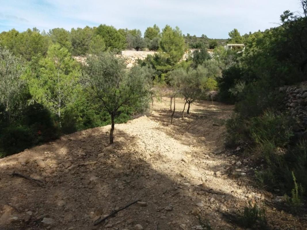 Terreno en venta en Sierra Engarceran, Castellón photo 1