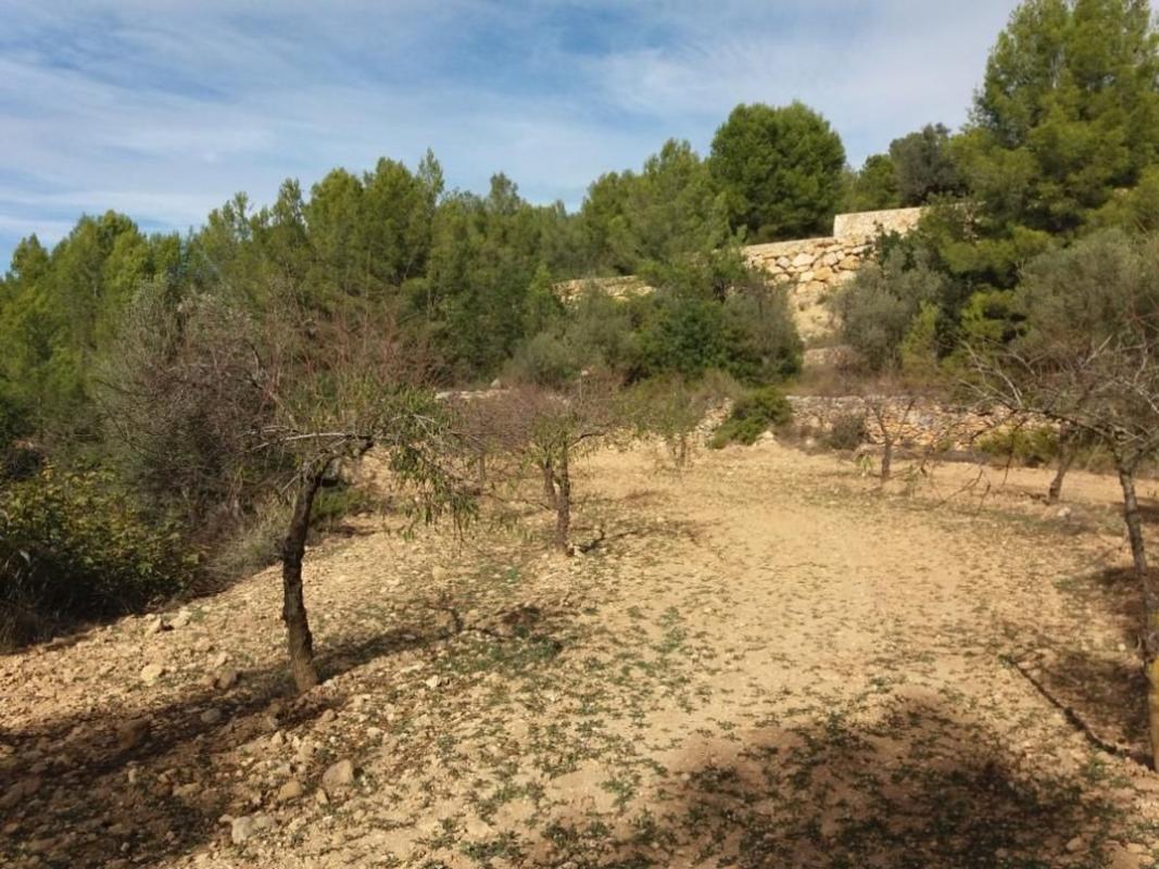 Terreno en venta en Sierra Engarceran, Castellón photo 2