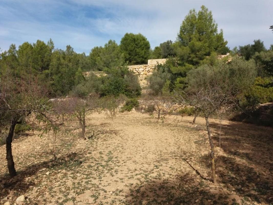 Terreno en venta en Sierra Engarceran, Castellón photo 3