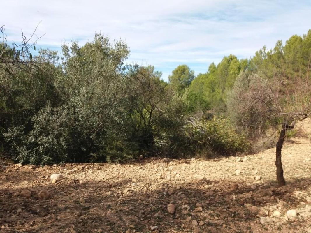 Terreno en venta en Sierra Engarceran, Castellón photo 4