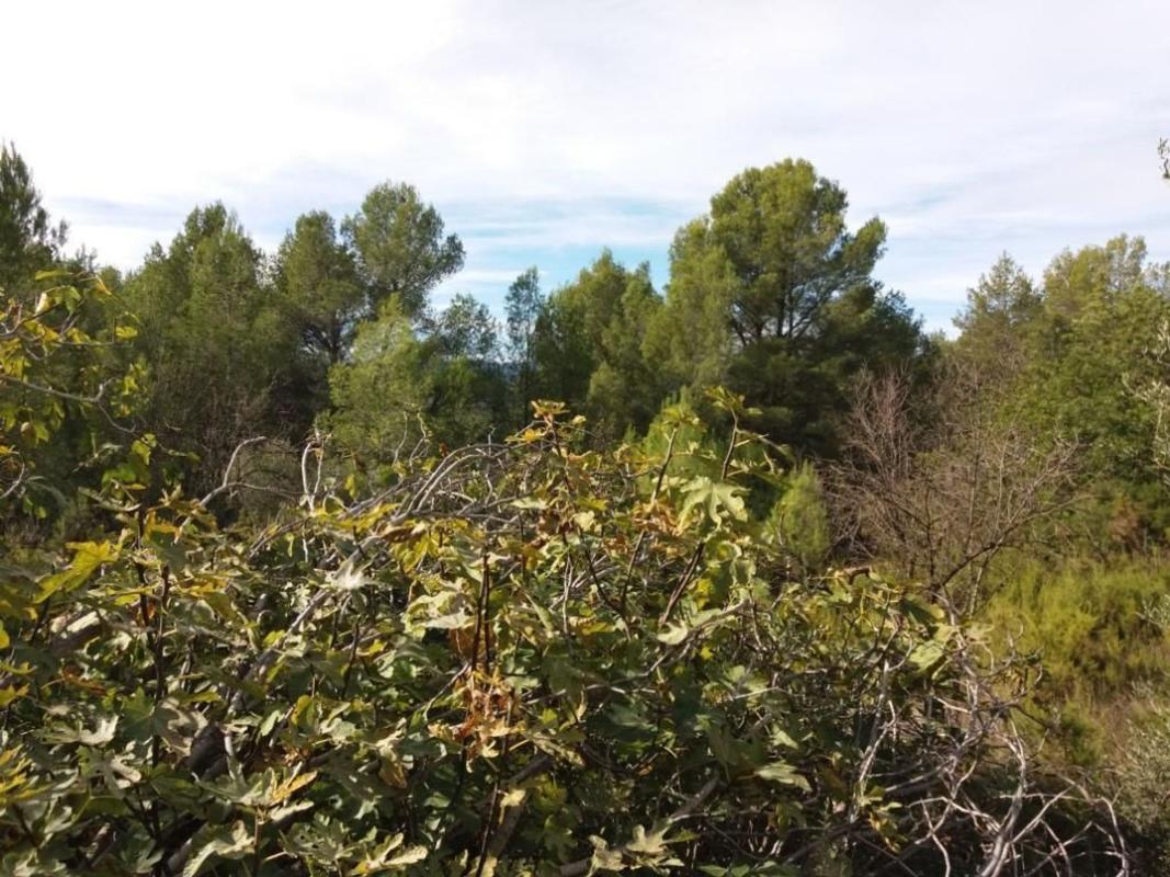Terreno en venta en Sierra Engarceran, Castellón photo 5
