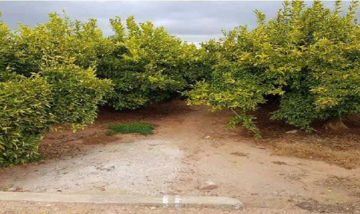 Участок земли на продажу в Нулес, Кастельон photo 1