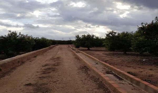 Terreno en Calle Rambleta s/n, Nules photo 2