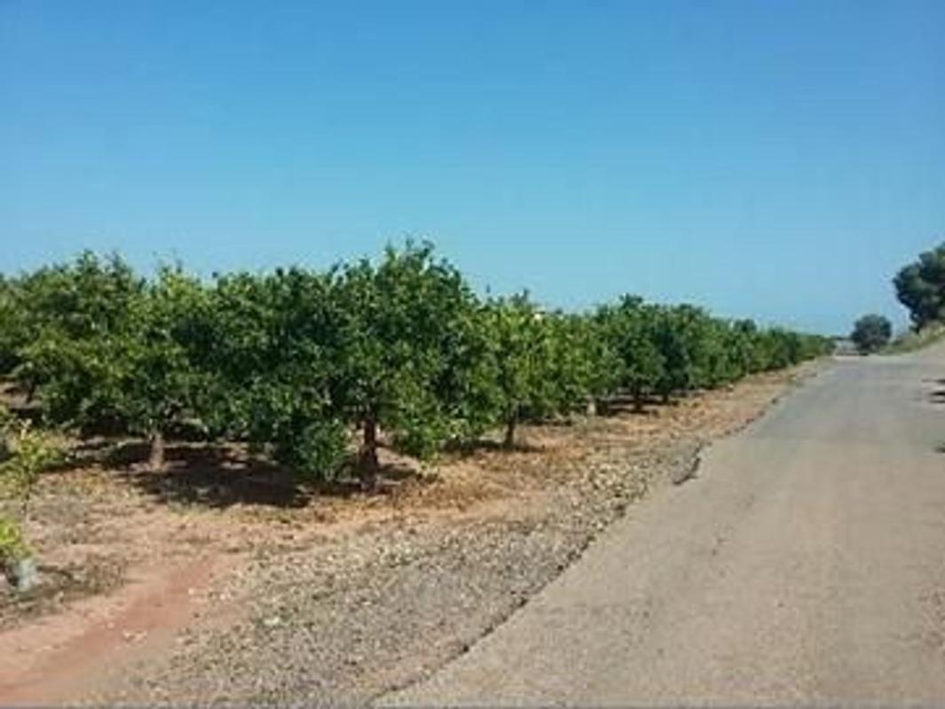 Land for sale in Almenara, Castellón photo 1