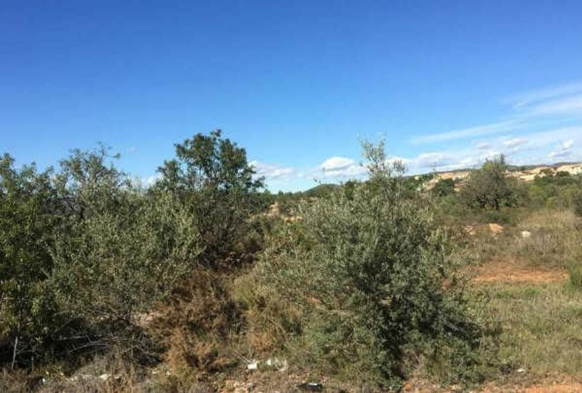 Terreno en venta en Sant Joan de Moró, Castellón photo 1