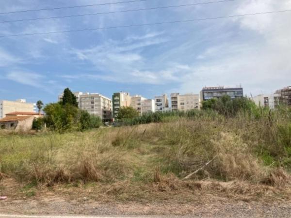 Terreno en Camino de les Serratelles, 75, Nules photo 1