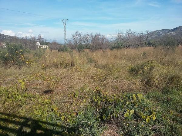 Terreno en Plaza Poligono 10, 96, Santa Magdalena de Pulpis photo 1
