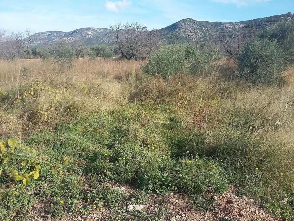 Terreno en Plaza Poligono 10, 96, Santa Magdalena de Pulpis thumbnail 1