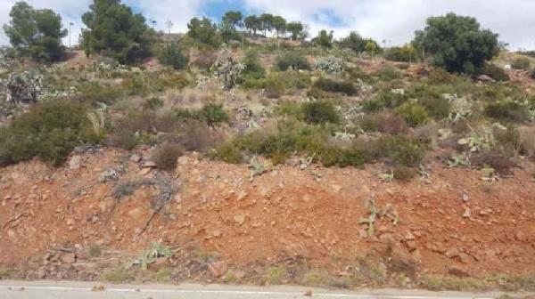 Terreno en Urbanización Cerro Salinera, 2 f, Almenara photo 2