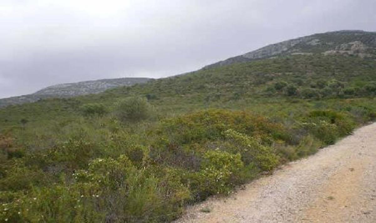 Terreno en venta en Santa Magdalena de Pulpis, Castellón photo 2
