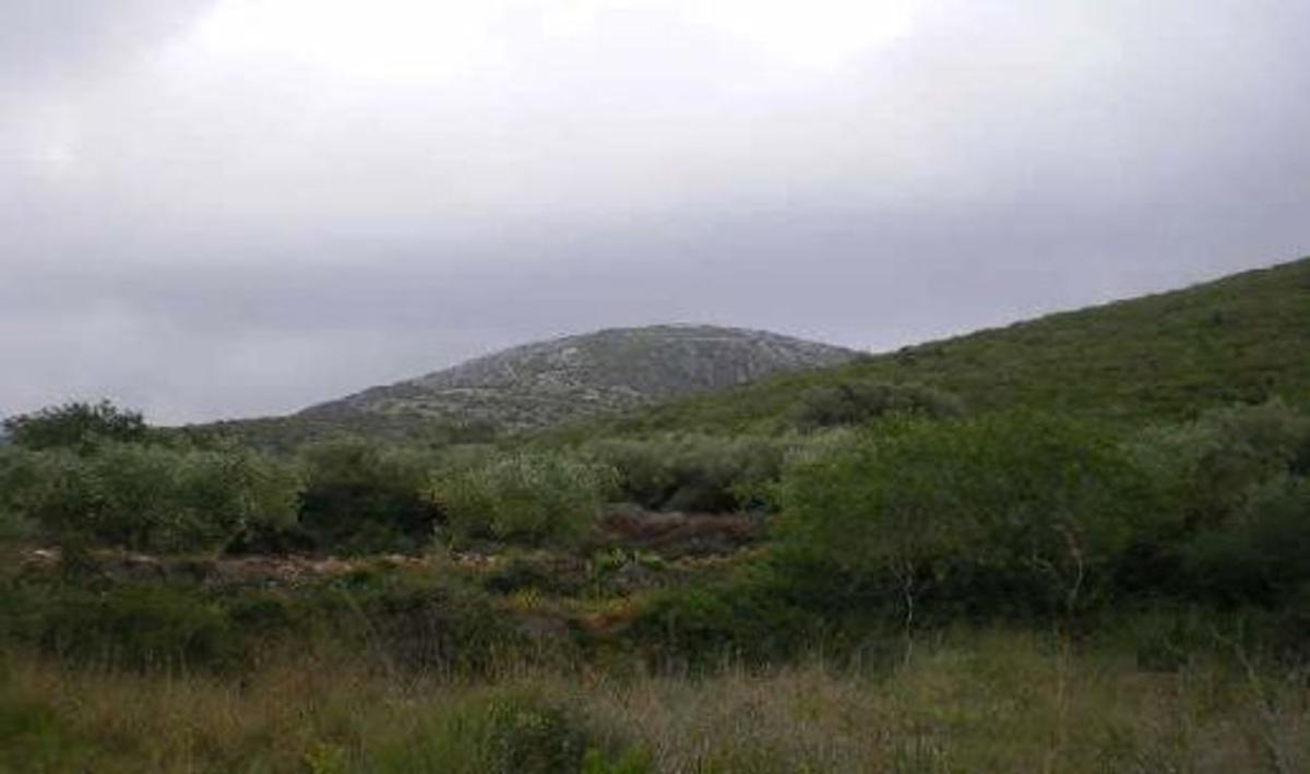 Terreno en venta en Santa Magdalena de Pulpis, Castellón photo 3